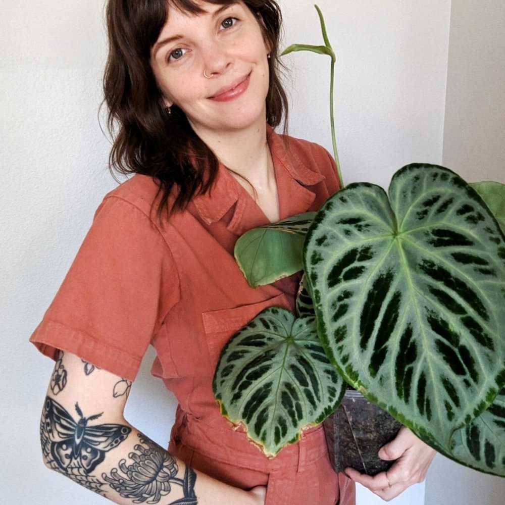 Meet your Posher, Beth